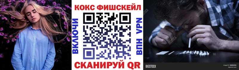 где можно купить Лесозаводск COCAIN FishScale