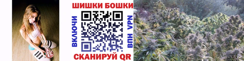Шишки марихуана OG Kush  Лесозаводск 